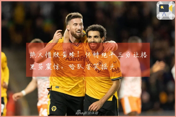 热火惜败黄蜂！怀特绝平三分让格里芬震惊，哈队苦笑摇头