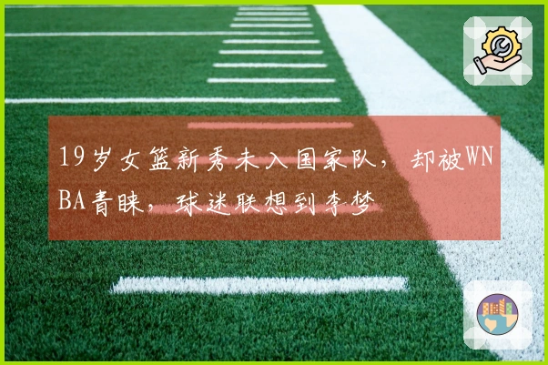 19岁女篮新秀未入国家队，却被WNBA青睐，球迷联想到李梦