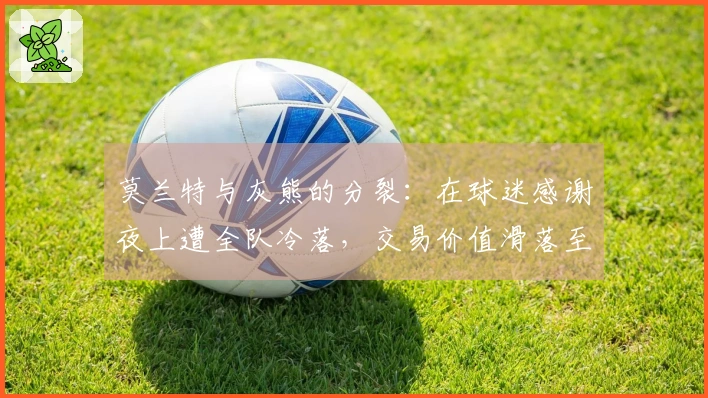 莫兰特与灰熊的分裂：在球迷感谢夜上遭全队冷落，交易价值滑落至负面资产