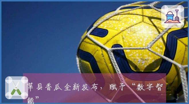 莘县香瓜全新发布，赋予“数字智能”